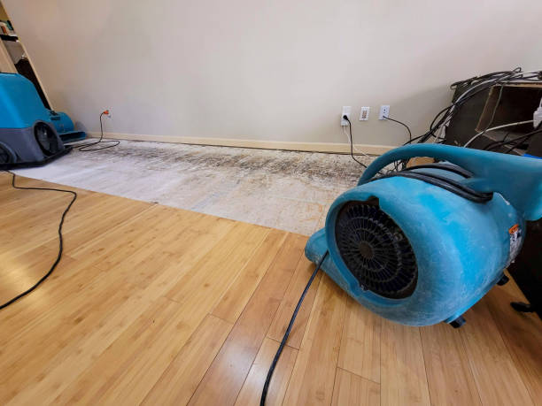 Professional Emergency Water Damage technician working in Pearl River, LA